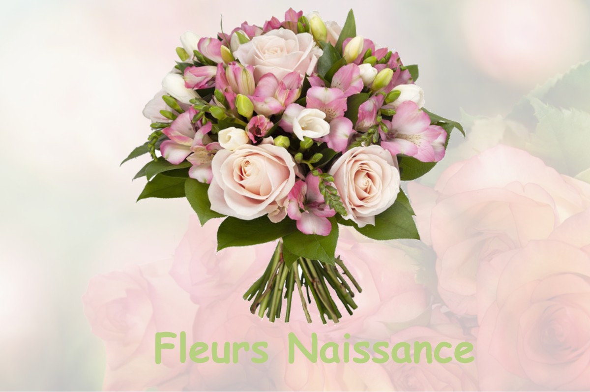 fleurs naissance TAVERS