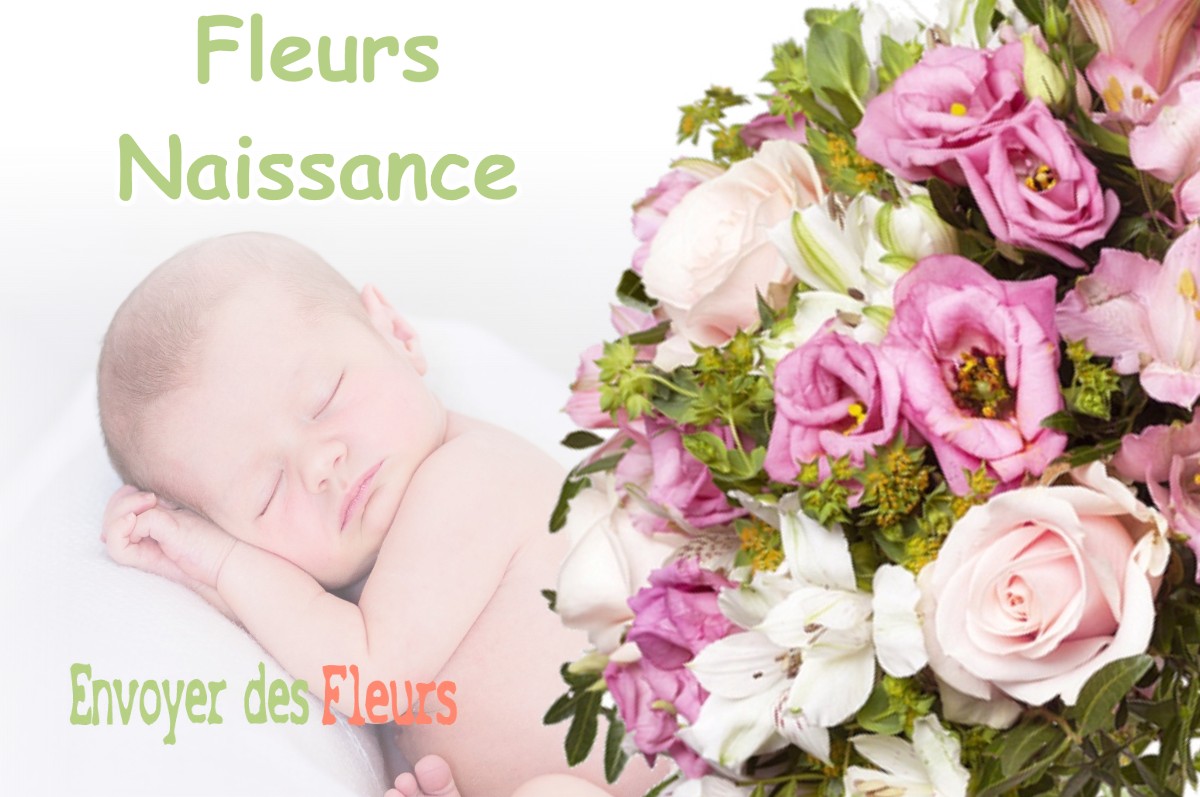 lIVRAISON FLEURS NAISSANCE à TAVERS